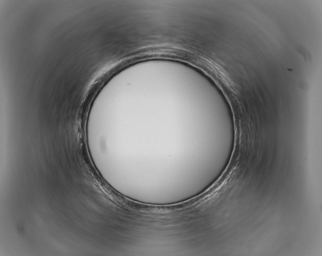 X0000111921164200907271003