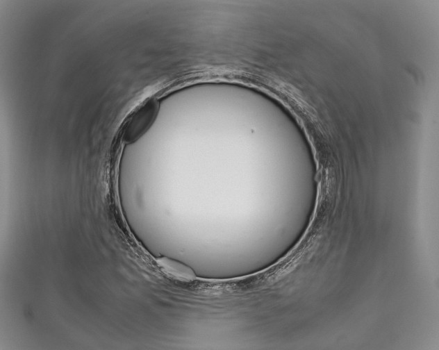 X0000111921165200907271003