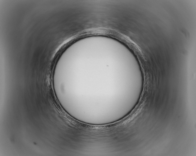 X0000111921166200907271003