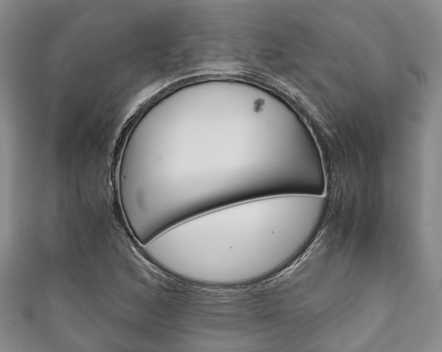 X0000111921168200907271003