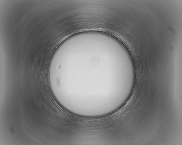 X0000111921169200907271003