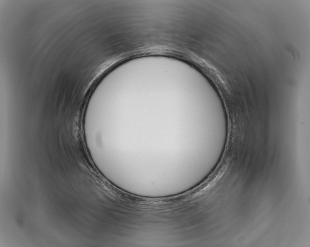 X0000111921170200907271003
