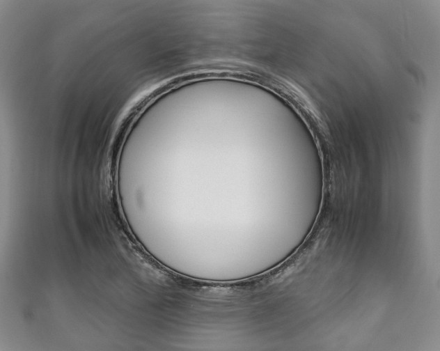 X0000111921172200907271003