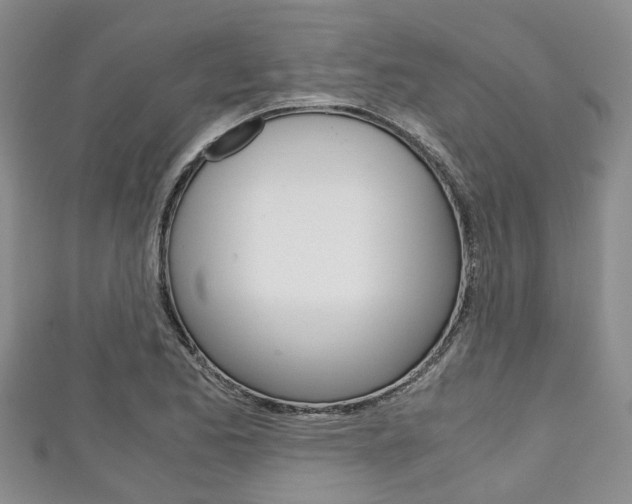 X0000111921173200907271003