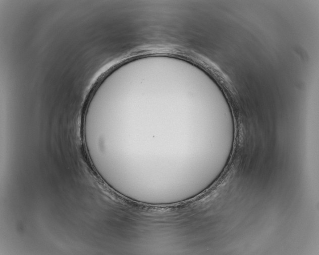 X0000111921174200907271003