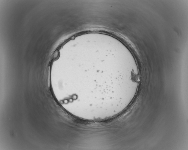 X0000111921175200907271003
