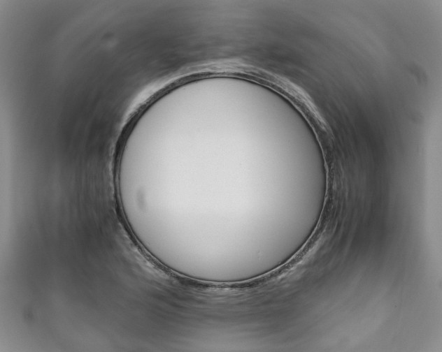 X0000111921176200907271003