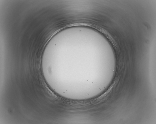 X0000111921177200907271003