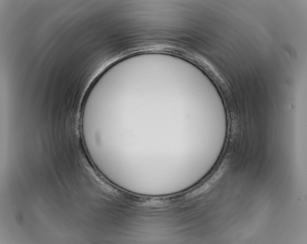 X0000111921178200907271003