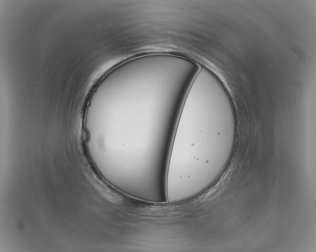 X0000111921179200907271003
