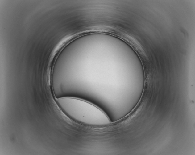 X0000111921180200907271003