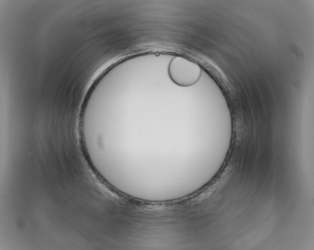 X0000111921182200907271003