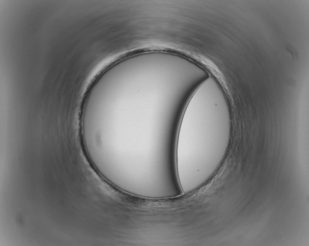 X0000111921183200907271003