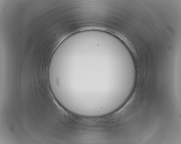 X0000111921185200907271003