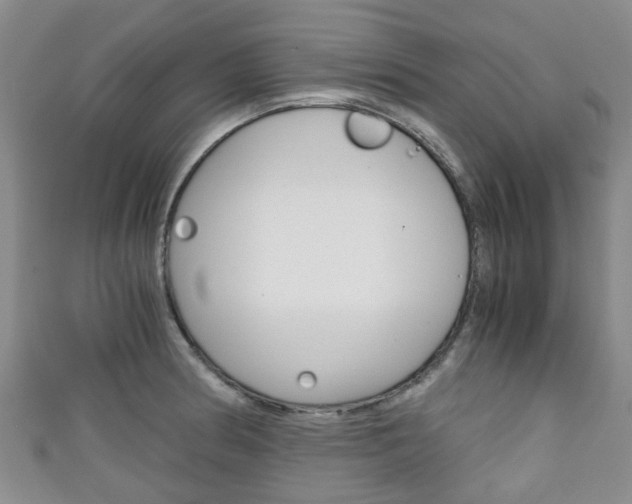 X0000111921186200907271003