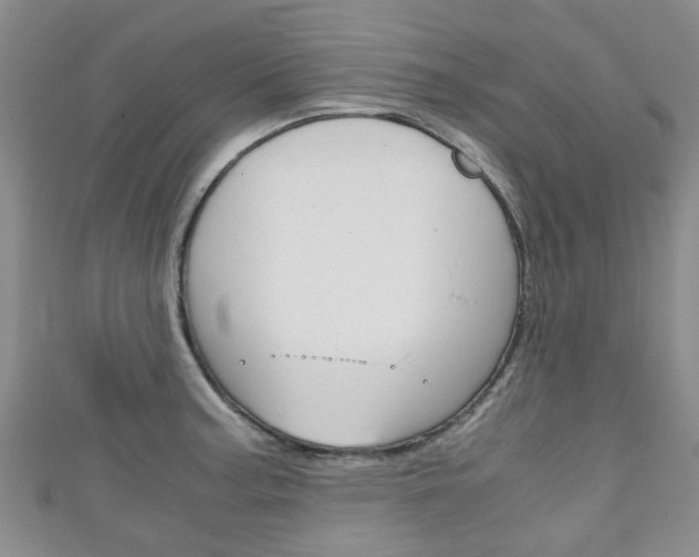 X0000111921187200907271003
