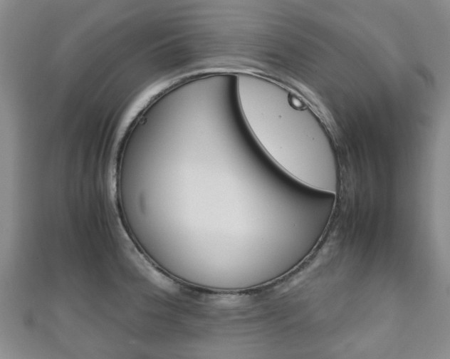 X0000111921188200907271003