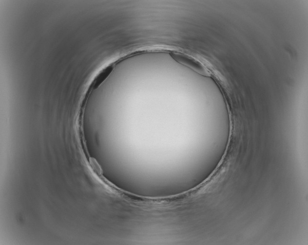 X0000111921189200907271003
