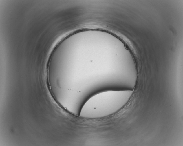 X0000111921191200907271003