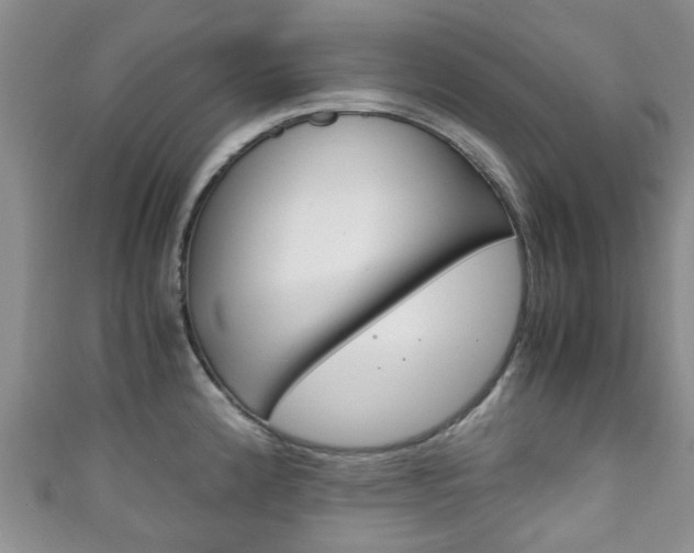X0000111921192200907271003