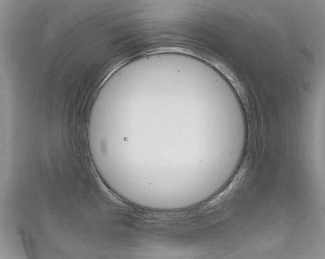 X0000111921193200907271003