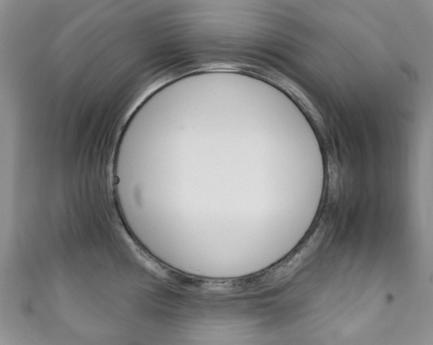 X0000111921194200907271003