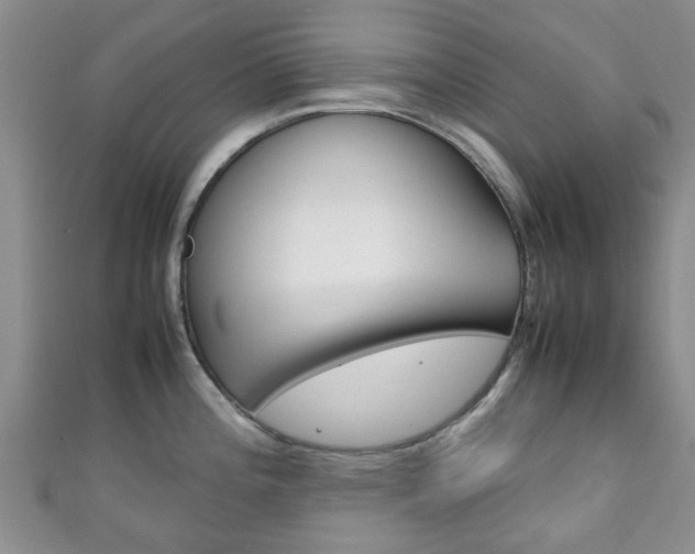 X0000111921196200907271003
