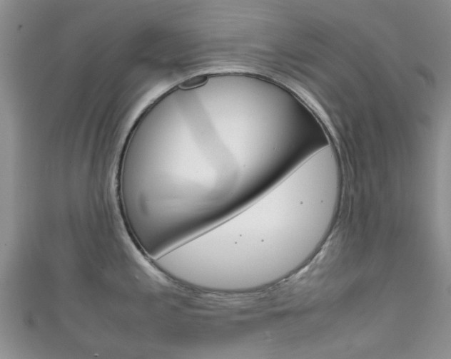 X0000111921197200907271003