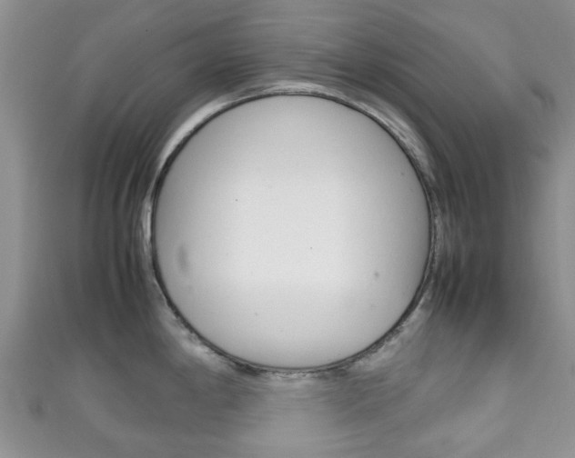 X0000111921198200907271003