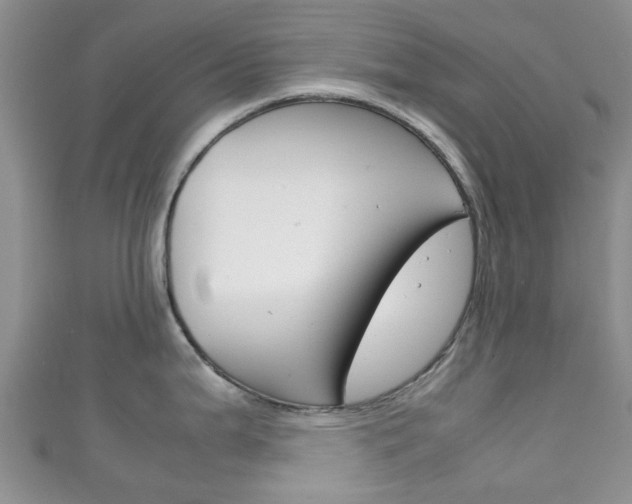 X0000111921199200907271003