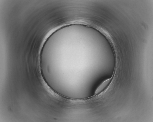 X0000111921200200907271003