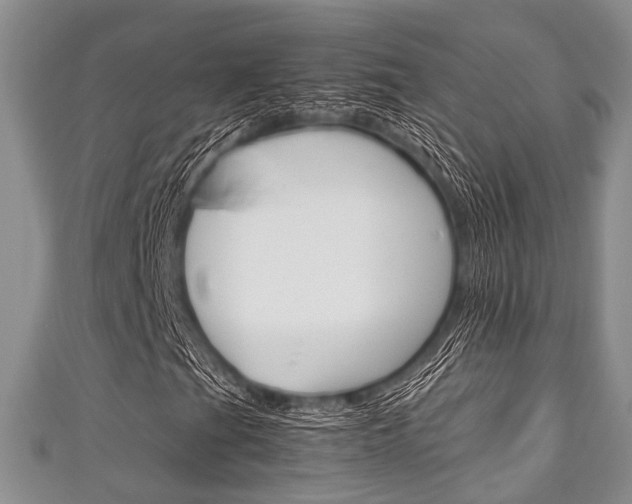 X0000111921201200907271002