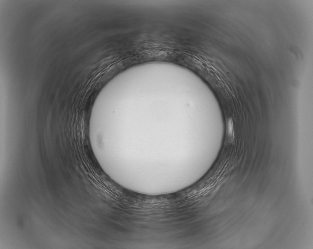 X0000111921203200907271002
