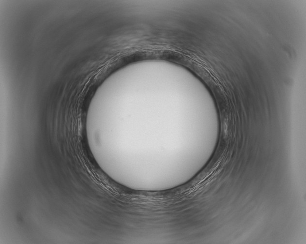 X0000111921204200907271002