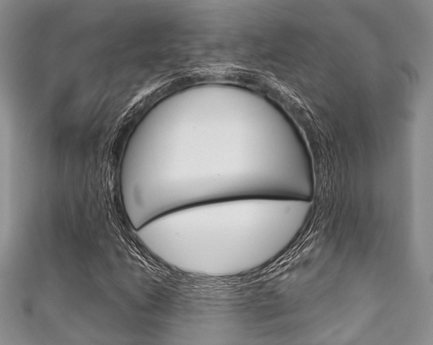 X0000111921206200907271002