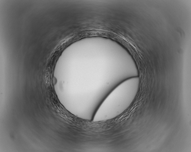 X0000111921207200907271002