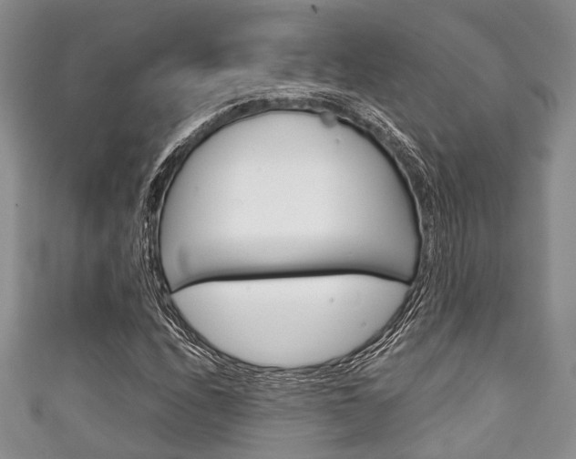X0000111921208200907271002