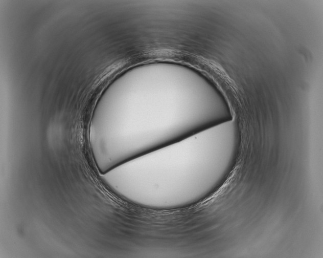 X0000111921209200907271002