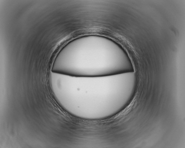 X0000111921210200907271002