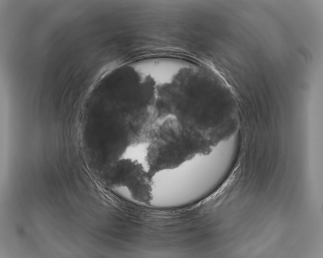 X0000111921211200907271002