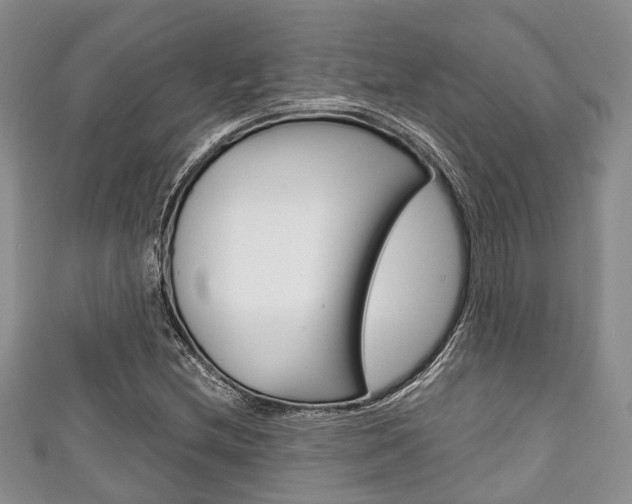 X0000111921212200907271002