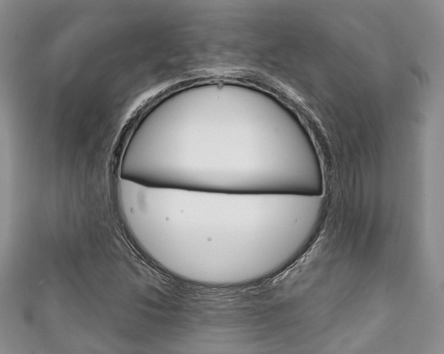 X0000111921214200907271002