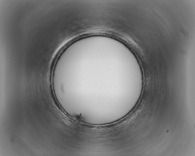 X0000111921216200907271002