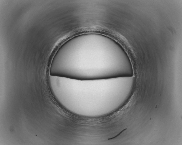 X0000111921218200907271002
