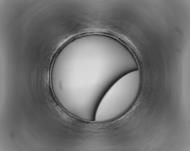 X0000111921220200907271002