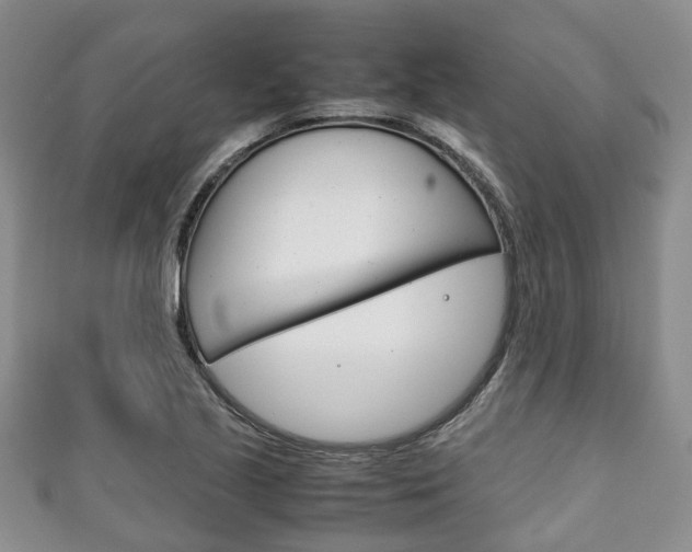 X0000111921221200907271002