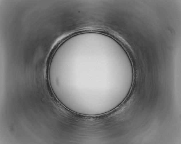 X0000111921222200907271002