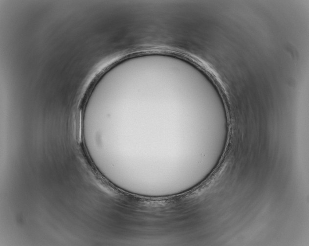 X0000111921223200907271002