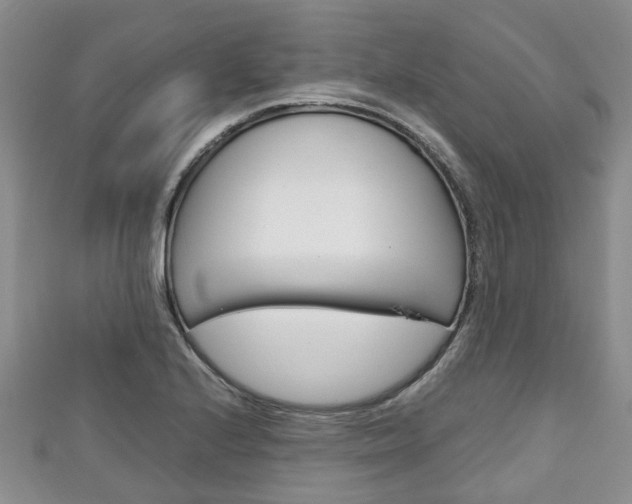 X0000111921224200907271002