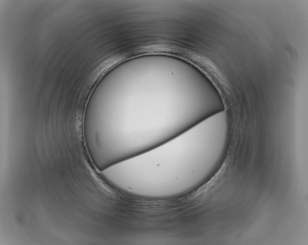 X0000111921225200907271002